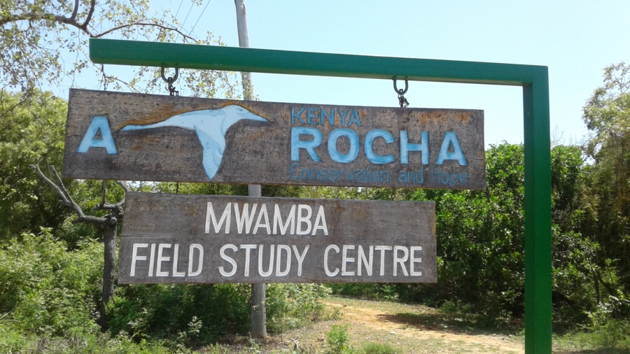 Welcome to Mwamba