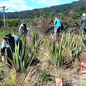 March 2024 volunteers