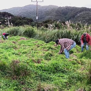 May - Preparing for planting