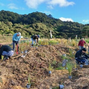 June - Planting the channel