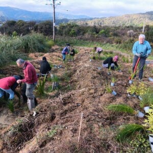 June - Planting the bank