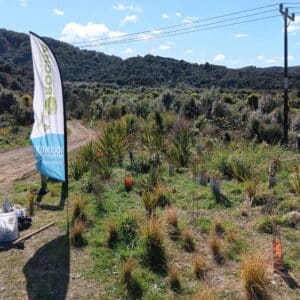 July - Planting completed