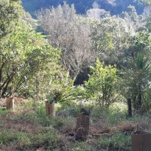 Part of planting