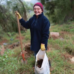 Planting, mulching and watering