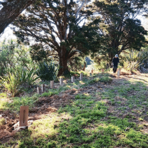 Part of the finished plot