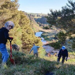 Planting, mulching and watering