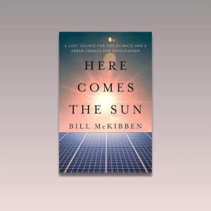 Book Reviews feature image